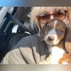 debbie_rakos